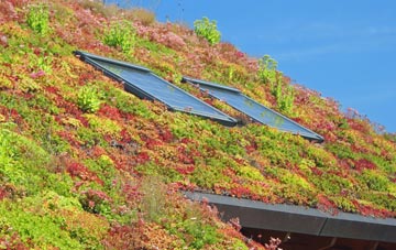 Abbots Meads living roof systems